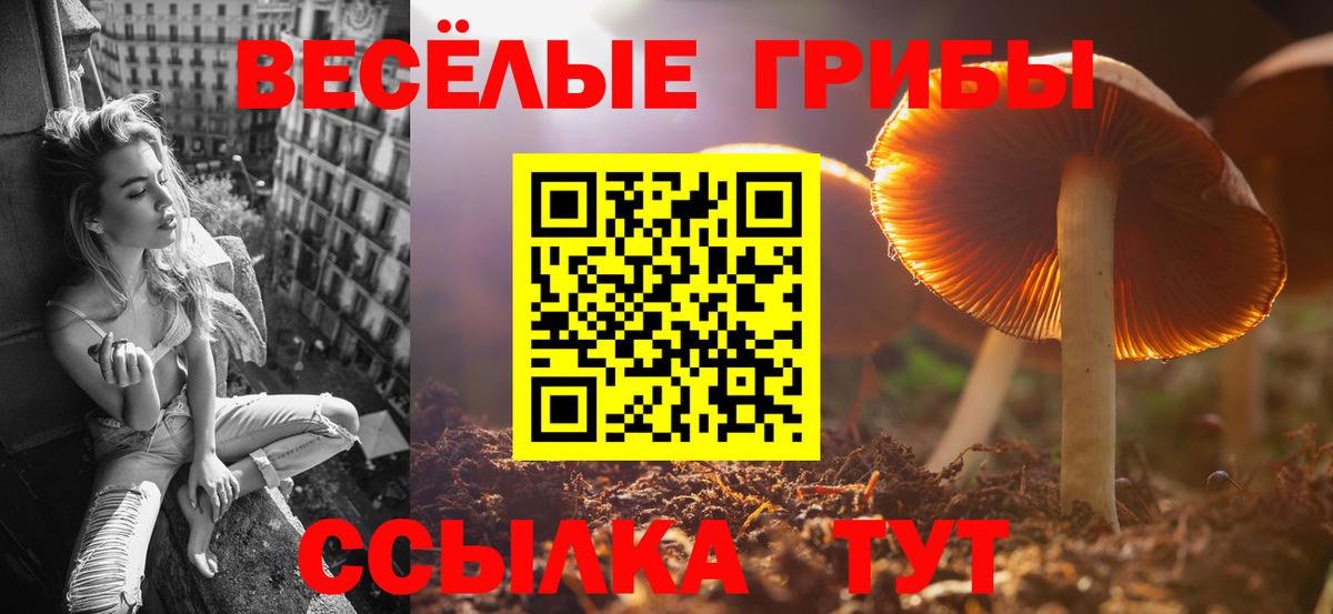 где купить наркоту  Галлюциногенные грибы прущие грибы  Вход с VPN  Александров 