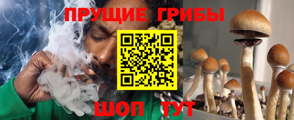 Псилоцибиновые грибы GOLDEN TEACHER Александров